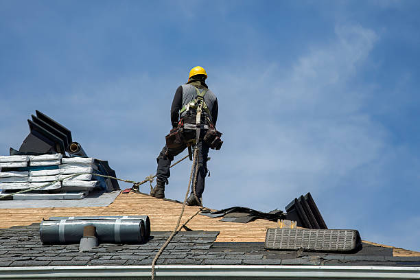 Professional Storm Damage Roof Repair technician working in Robbins, TN